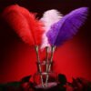 sex toy Feather stick