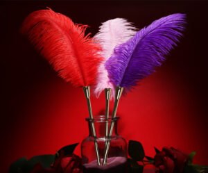 sex toy Feather stick
