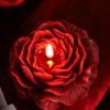 Cat paw rose low-temperature candle