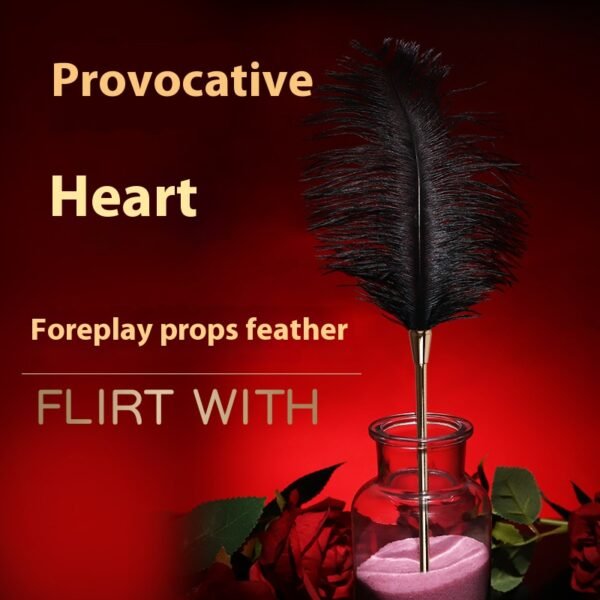 sex toy Feather stick