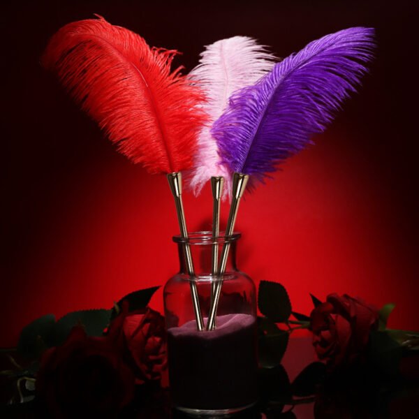 sex toy Feather stick