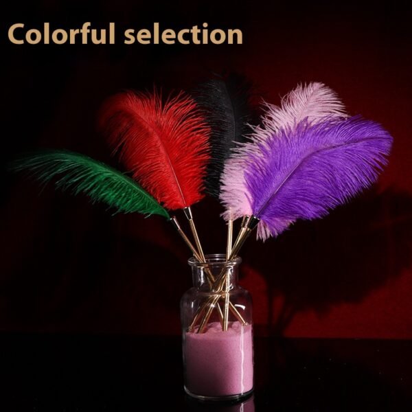 sex toy Feather stick